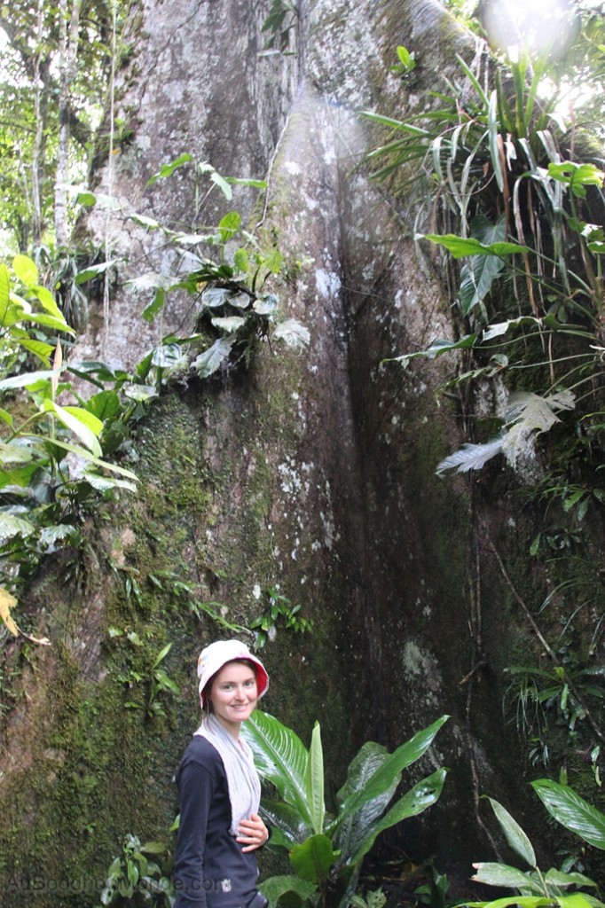 Equateur Jungle Amazonie - Ceiba