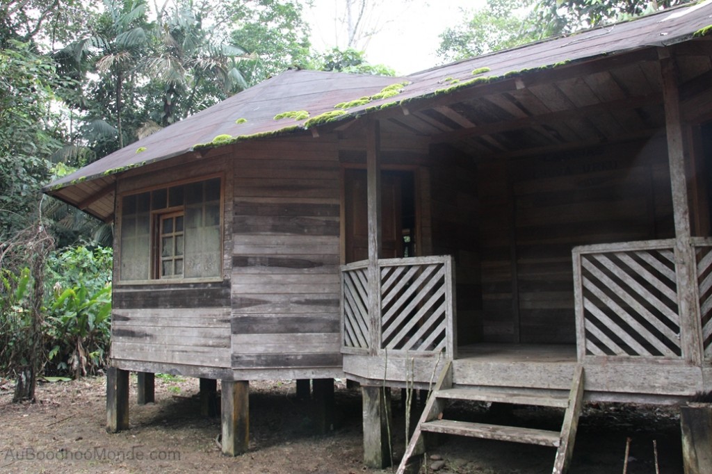 Equateur Jungle Amazonie - Habitation