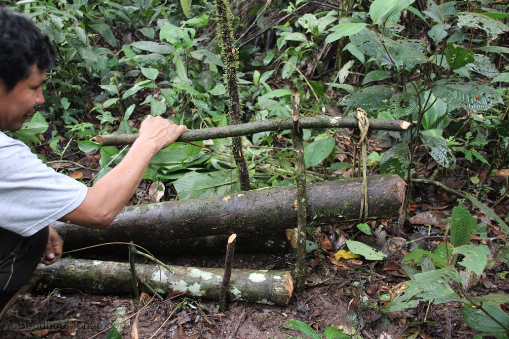 Equateur Jungle Amazonie - Piege