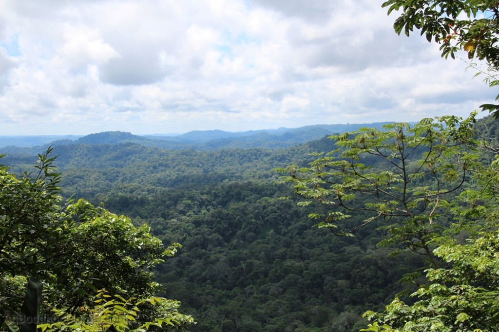 Equateur Jungle Amazonie - Point de vue