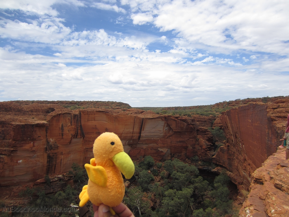 Auboodhoomonde - Dodo Moris - Australie Kings Canyon