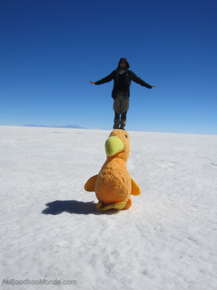 Auboodhoomonde - Dodo Moris - Bolivie Perspective