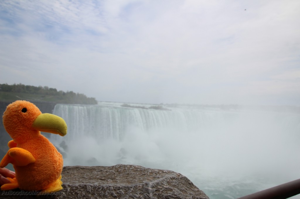 Auboodhoomonde - Dodo Moris - Canada Niagara