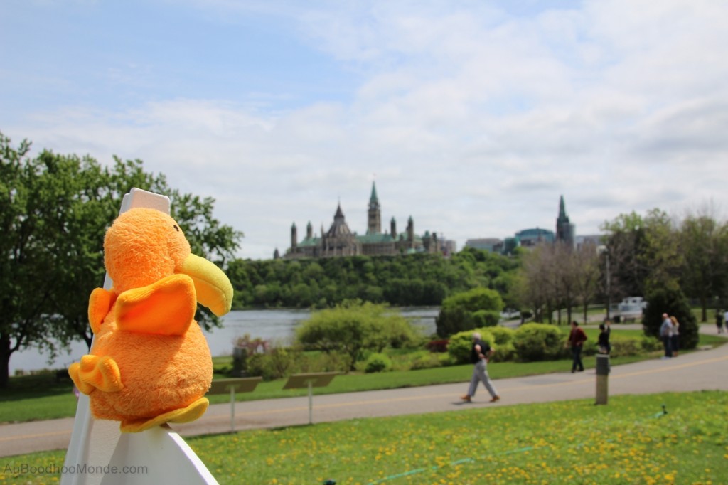 Auboodhoomonde - Dodo Moris - Canada Ottawa