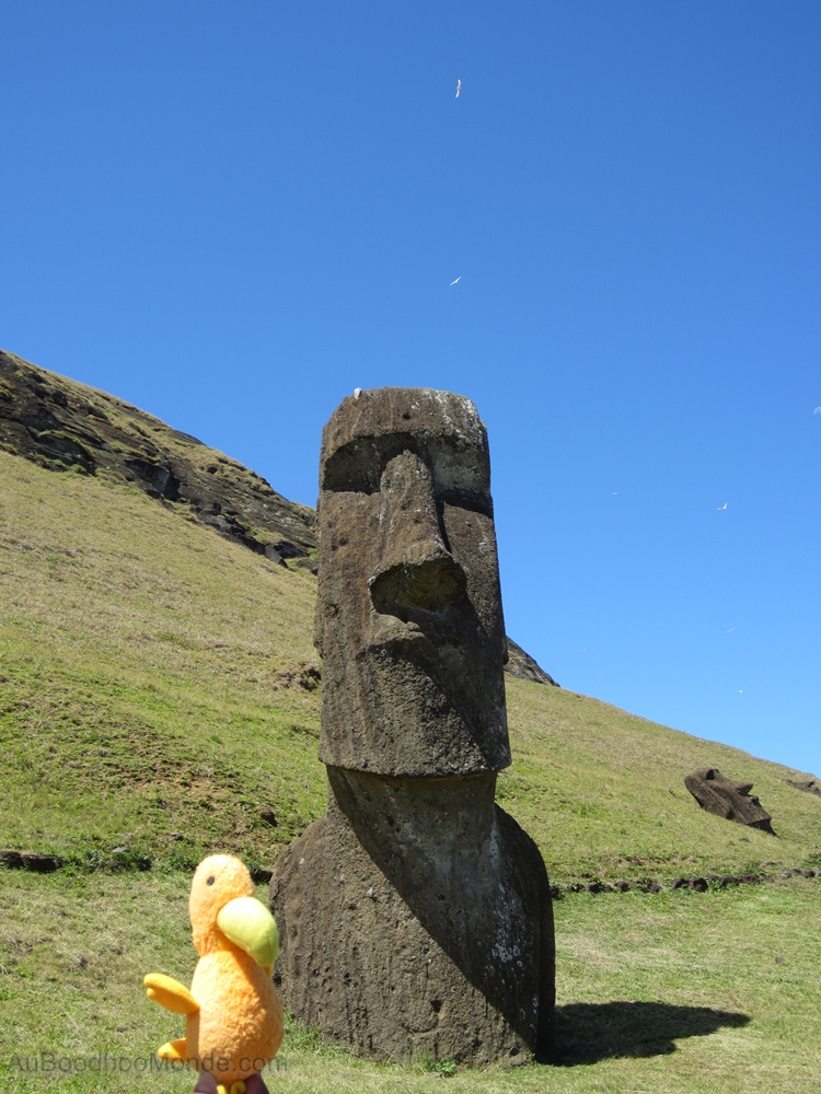 Auboodhoomonde - Dodo Moris - Ile de Paques Moai