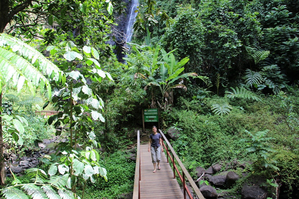 Tahiti - Jungle tropicale