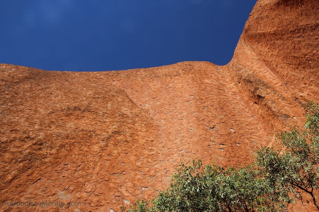 Australie - Uluru de pres