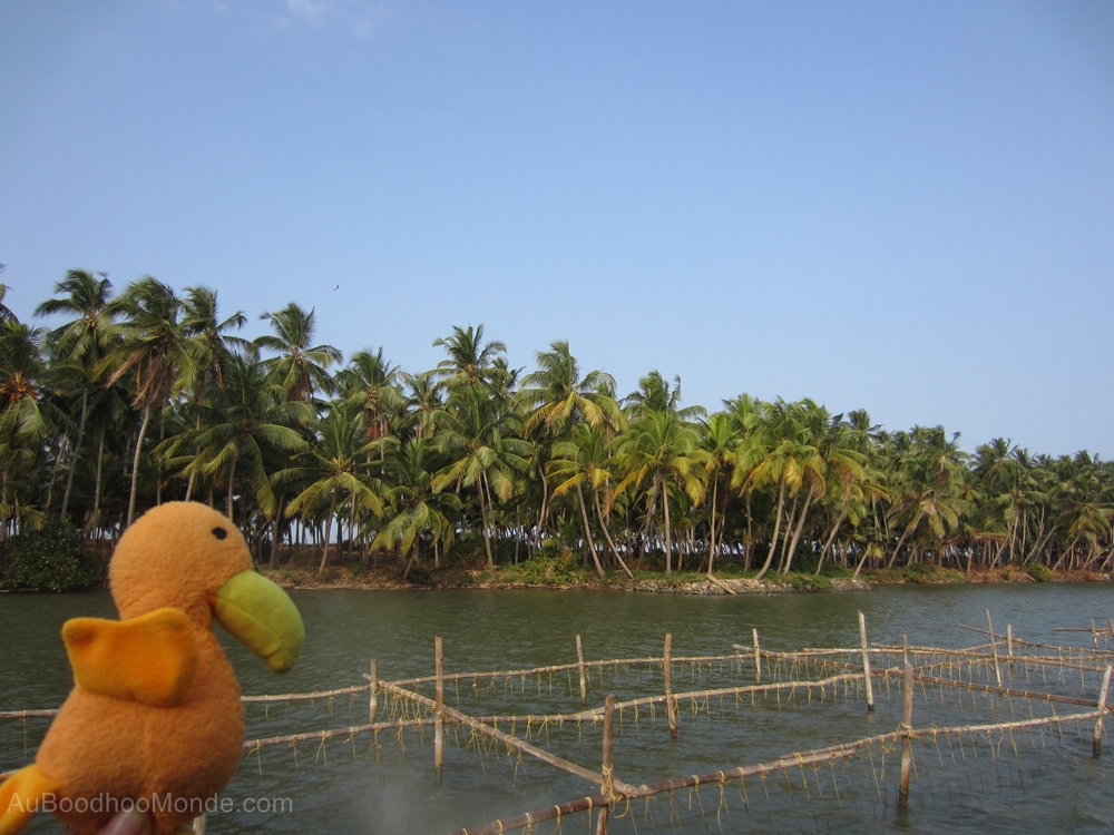 Auboodhoomonde - Dodo Moris - Inde Kerala Valiyaparamba