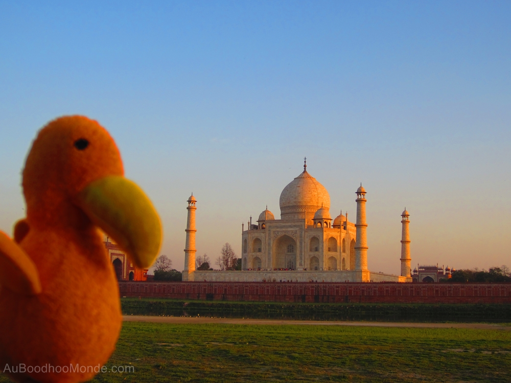 Auboodhoomonde - Dodo Moris -  Inde Taj Mahal