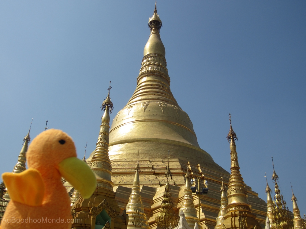 Auboodhoomonde - Dodo Moris - Myanmar Schwedagon