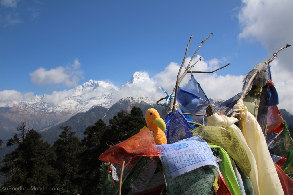 Auboodhoomonde - Dodo Moris - Trek Himalaya